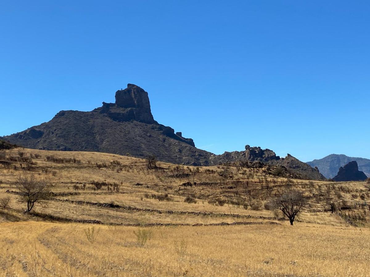 Vacacional La Tea The Best Location And The Best Views Tejeda  Exterior foto